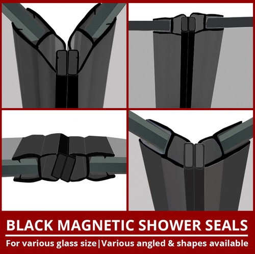 Magnetische schwarze